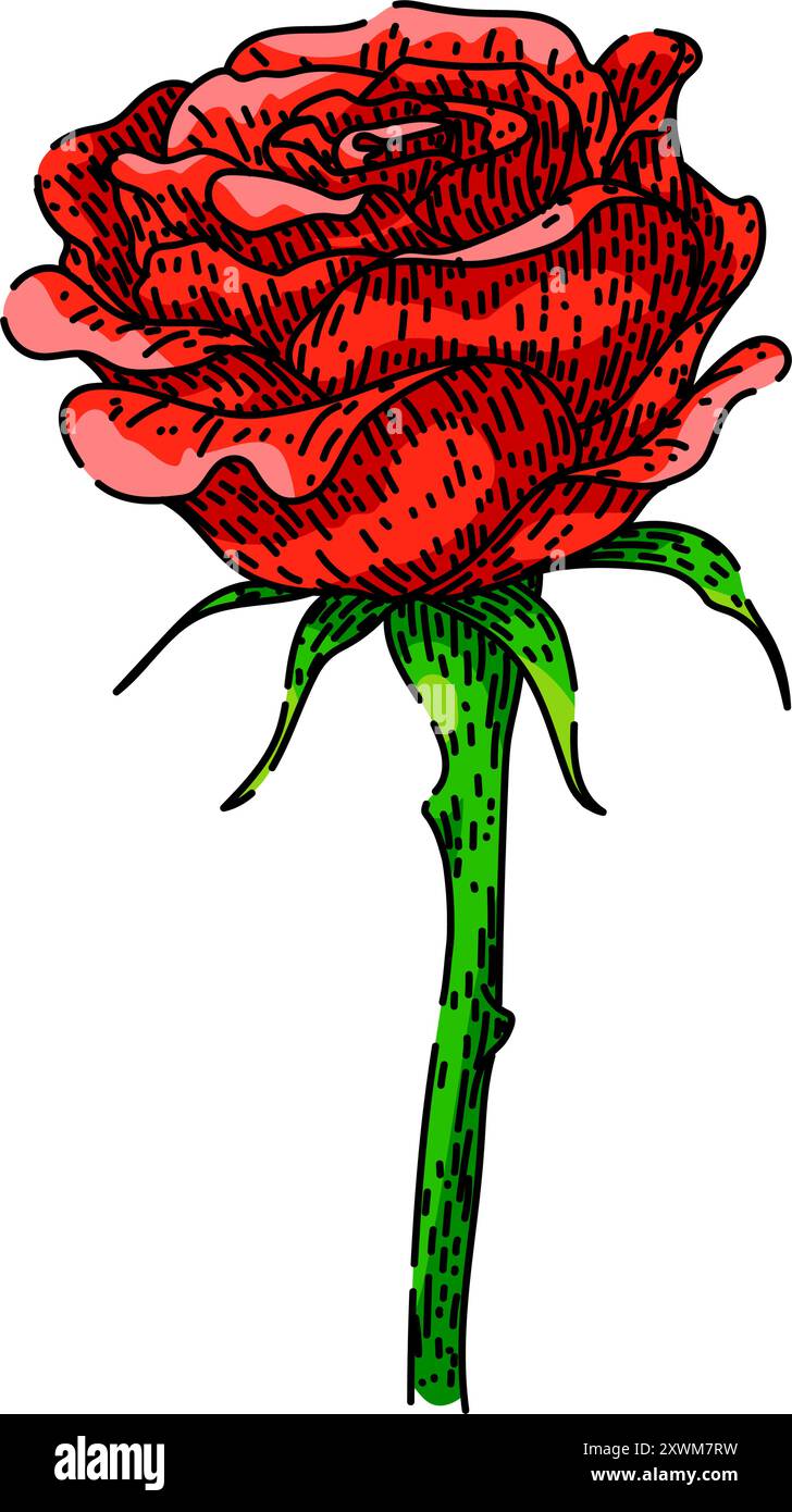 pétales rose fleur esquisse de vecteur dessiné à la main Illustration de Vecteur