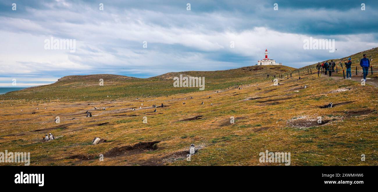 Femme touriste dans la veste rouge sur l'île de Magdalena faisant les photos de manchots Magellanic près de Punta Arenas, Chili Banque D'Images