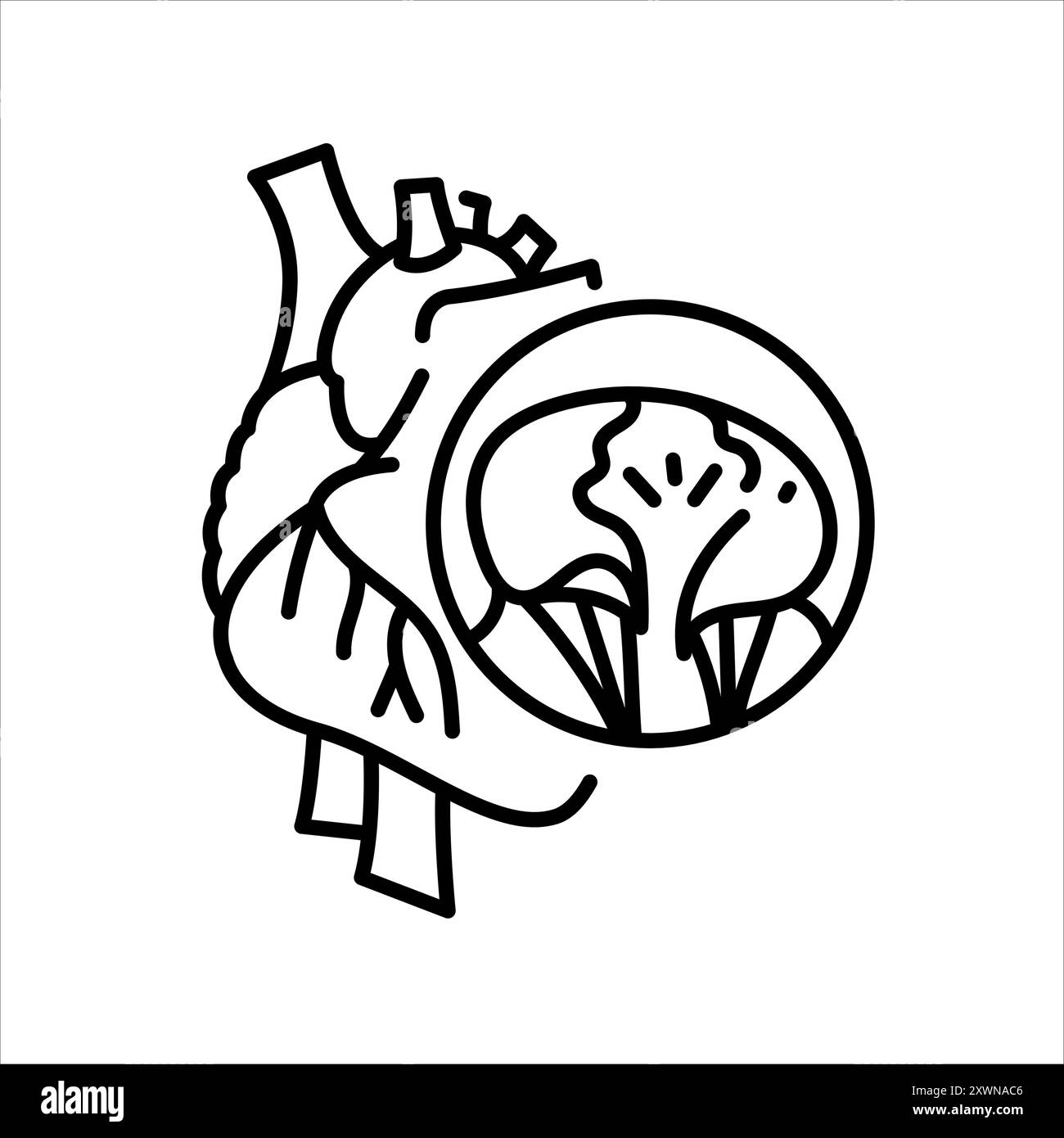 Icône noire de la ligne de prolapsus de la valve mitrale. Signez pour la page Web, l'application mobile, le bouton, le logo. Bouton isolé de vecteur. Contour modifiable. Illustration de Vecteur