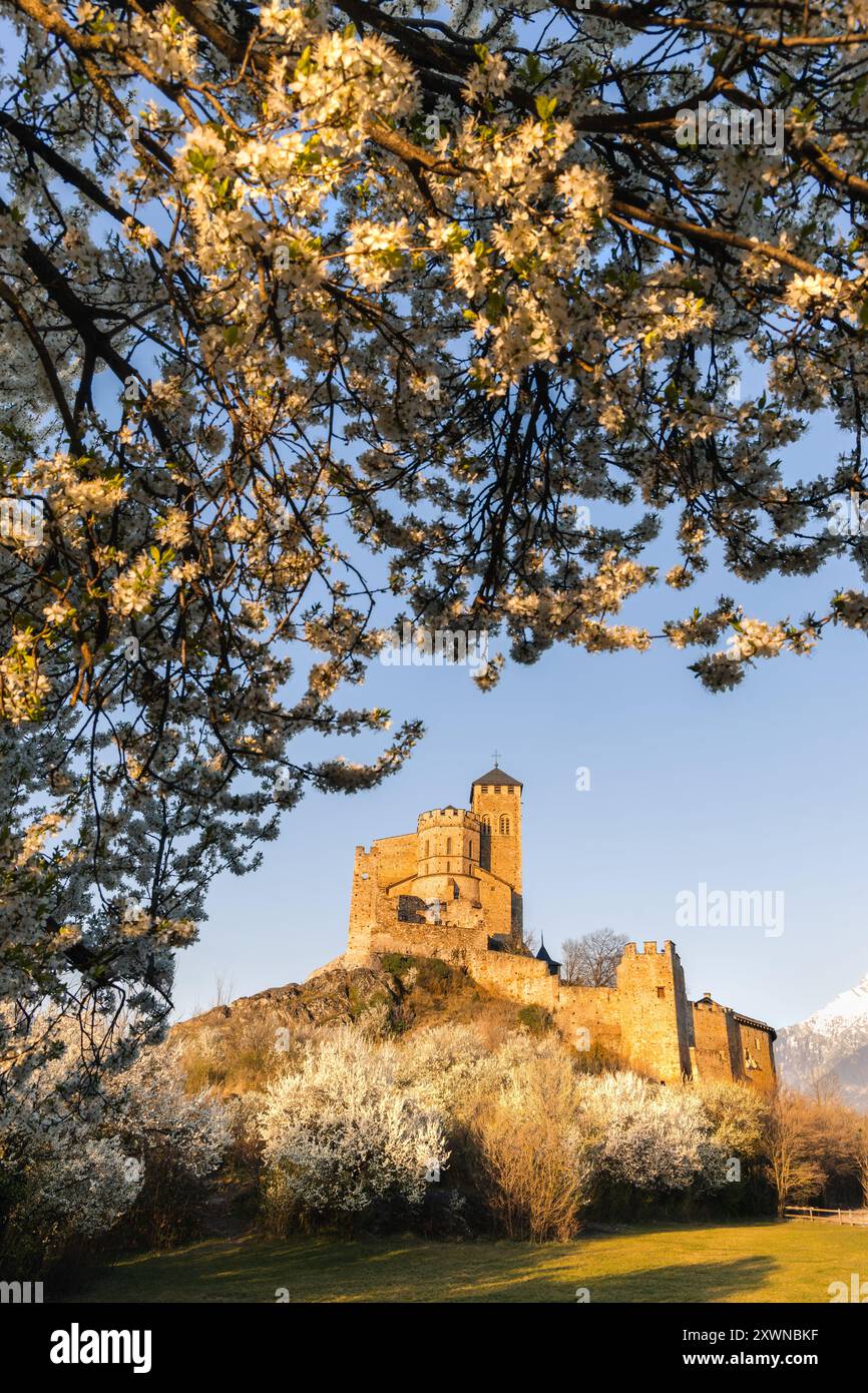Vue sur le paysage de la basilique Valere à Sion au lever du soleil, avec des fleurs blanches naturelles encadrant au printemps Banque D'Images