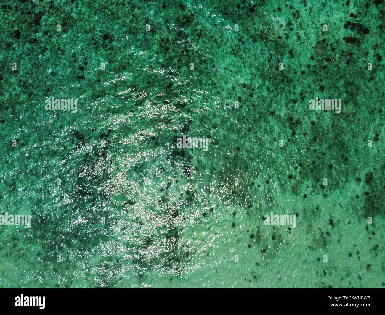 Vue aérienne du récif corallien et de l'eau turquoise des îles Phi Phi Banque D'Images