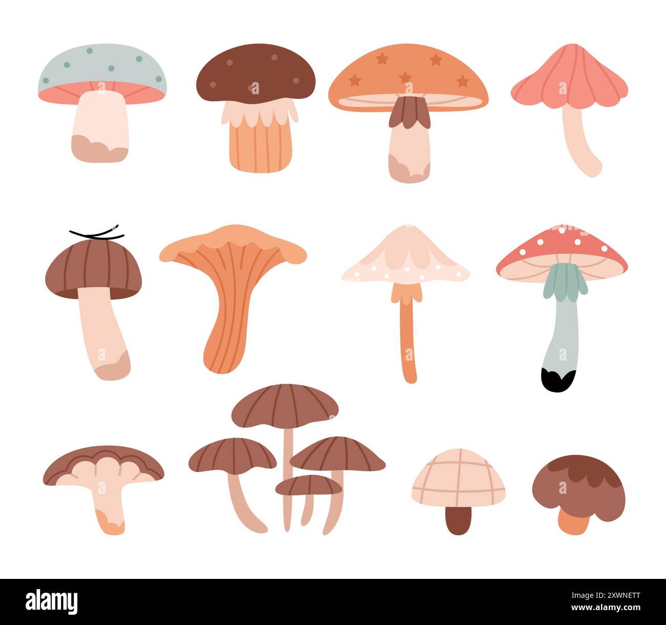 Ensemble de mignons champignons forestiers aux couleurs pastel. Plantes forestières d'automne. Nourriture de saison d'automne, champignons naturels sains crus, tiges et chapeaux de différents types. Illustration de Vecteur