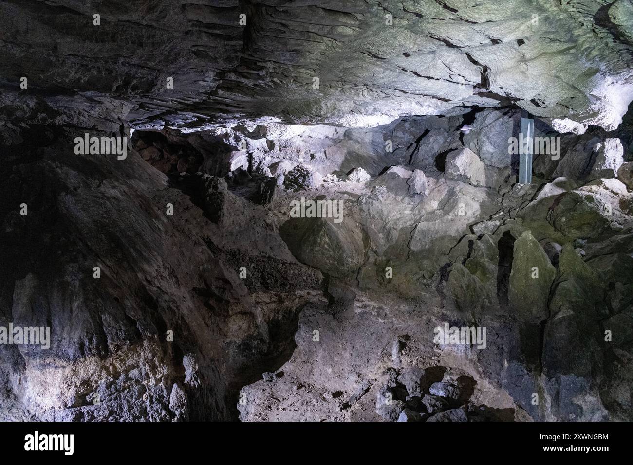 Kalkberghöhle à Bad Segeberg, Winterquartier für Fledermäuse, Schauhöhle, 10 Grad Warm, Noctalis, Fledermauszentrum Bad Segeberg Höhle zum Überwintern der Fledermäuse *** grotte de Kalkberg à Bad Segeberg, quartiers d'hiver pour les chauves-souris, grotte d'exposition, 10 degrés chaud, Noctalis, Centre des chauves-souris grotte de Bad Segeberg pour l'hibernation des chauves-souris 20240813-DSC 4832 Banque D'Images