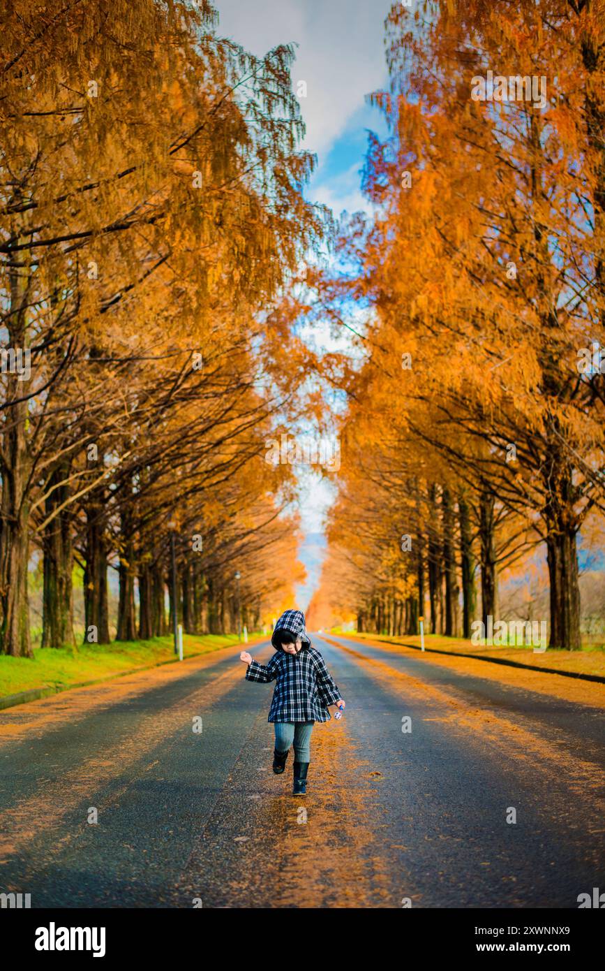 Fille heureuse marchant au milieu d'une route droite bordée d'arbres en automne, Shiga, Kansai, Honshu, Japon Banque D'Images