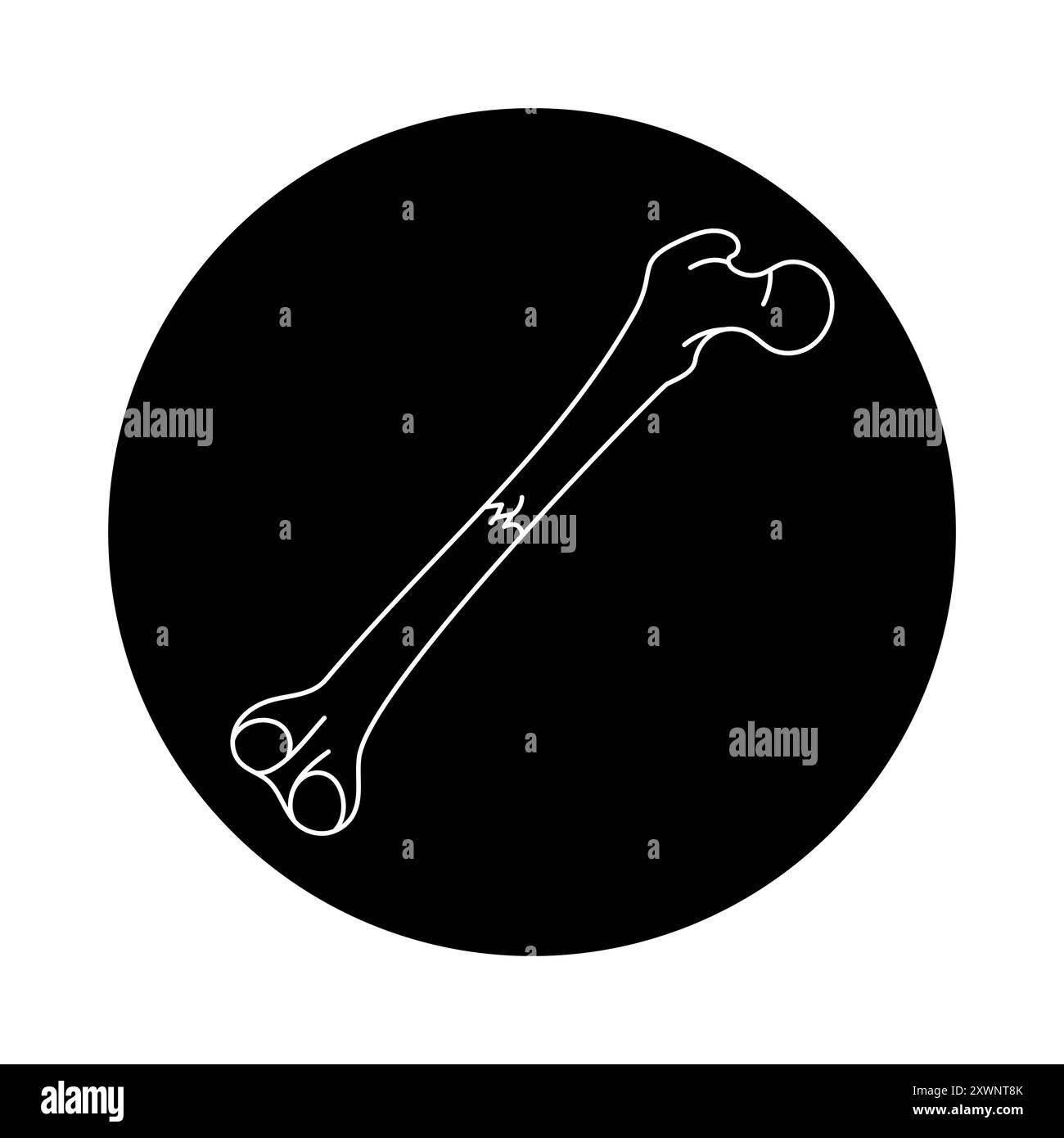 Icône de ligne de fracture osseuse transversale. Elément isolé par vecteur. Contour modifiable. Illustration de Vecteur