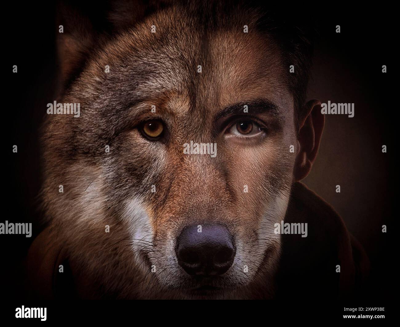 Portrait conceptuel en gros plan d'un homme se transformant en loup-garou Banque D'Images