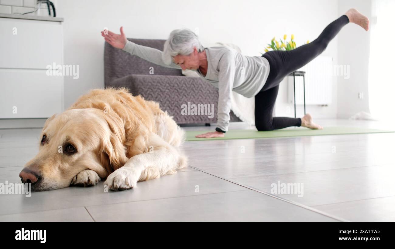 Femme âgée active faisant du yoga à la maison tandis qu'Un chien Golden Retriever repose sur le sol Banque D'Images