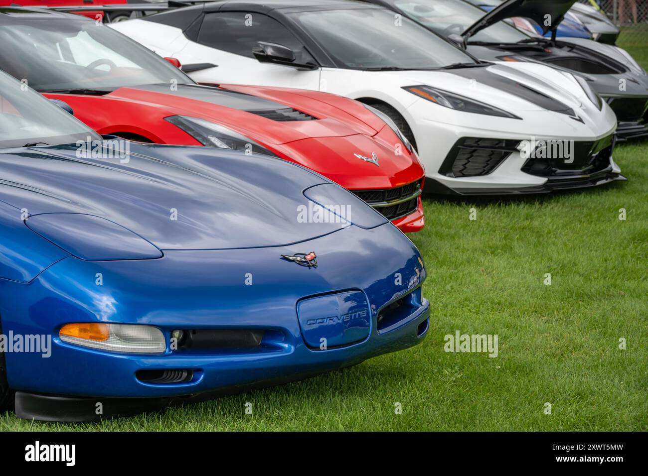 ROYAL OAK, mi/États-Unis - 17 AOÛT 2024 : voitures Chevrolet Corvette « patriotiques », rouges, blanches et bleues lors de la croisière Woodward Dream Cruise, près de Detroit, Michigan. Banque D'Images