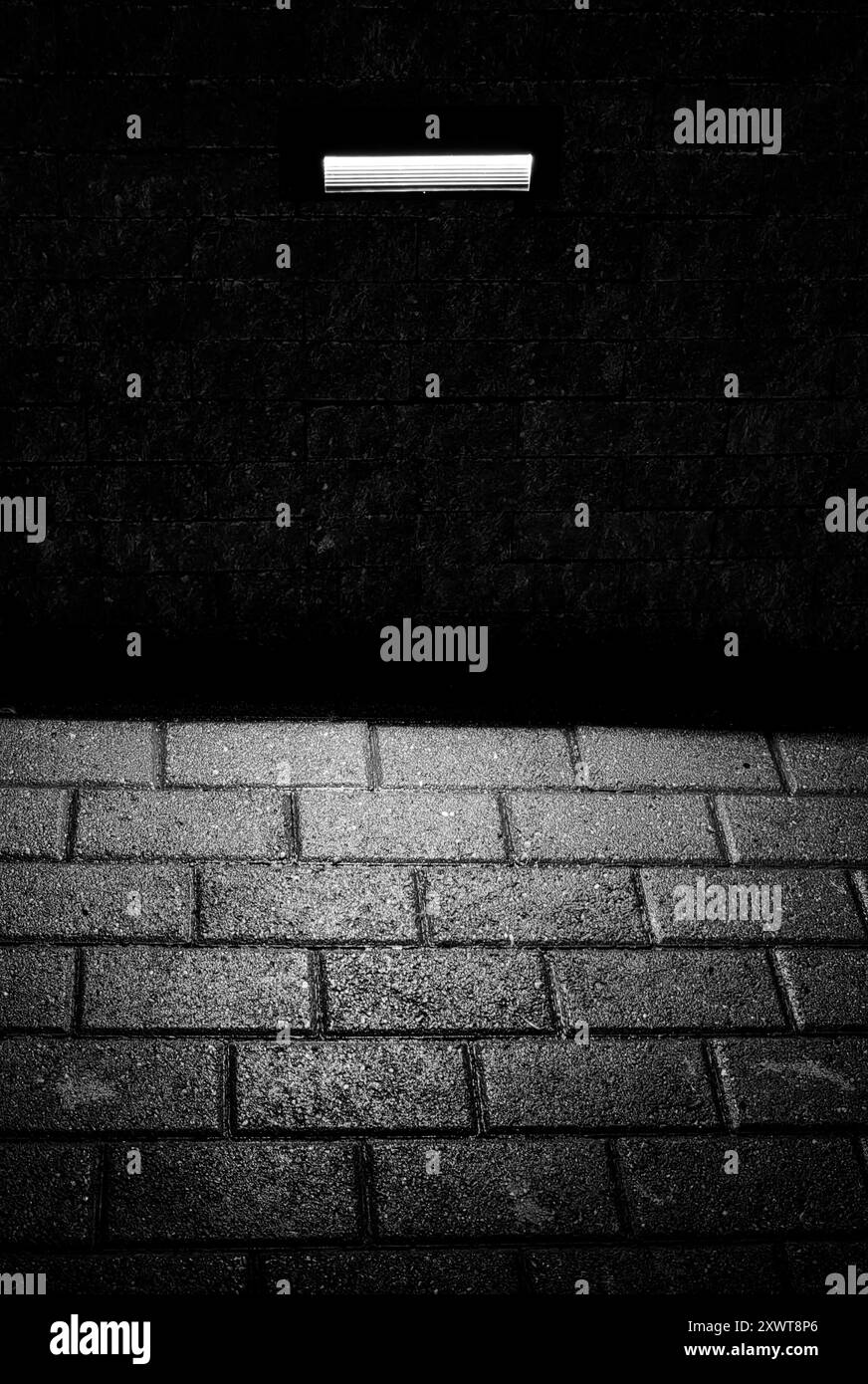 Lumière et obscurité : néon lumineux sur chaussée mouillée – rues mouillées la nuit motif et texture – concept Between Two Worlds. Noir et blanc. Banque D'Images