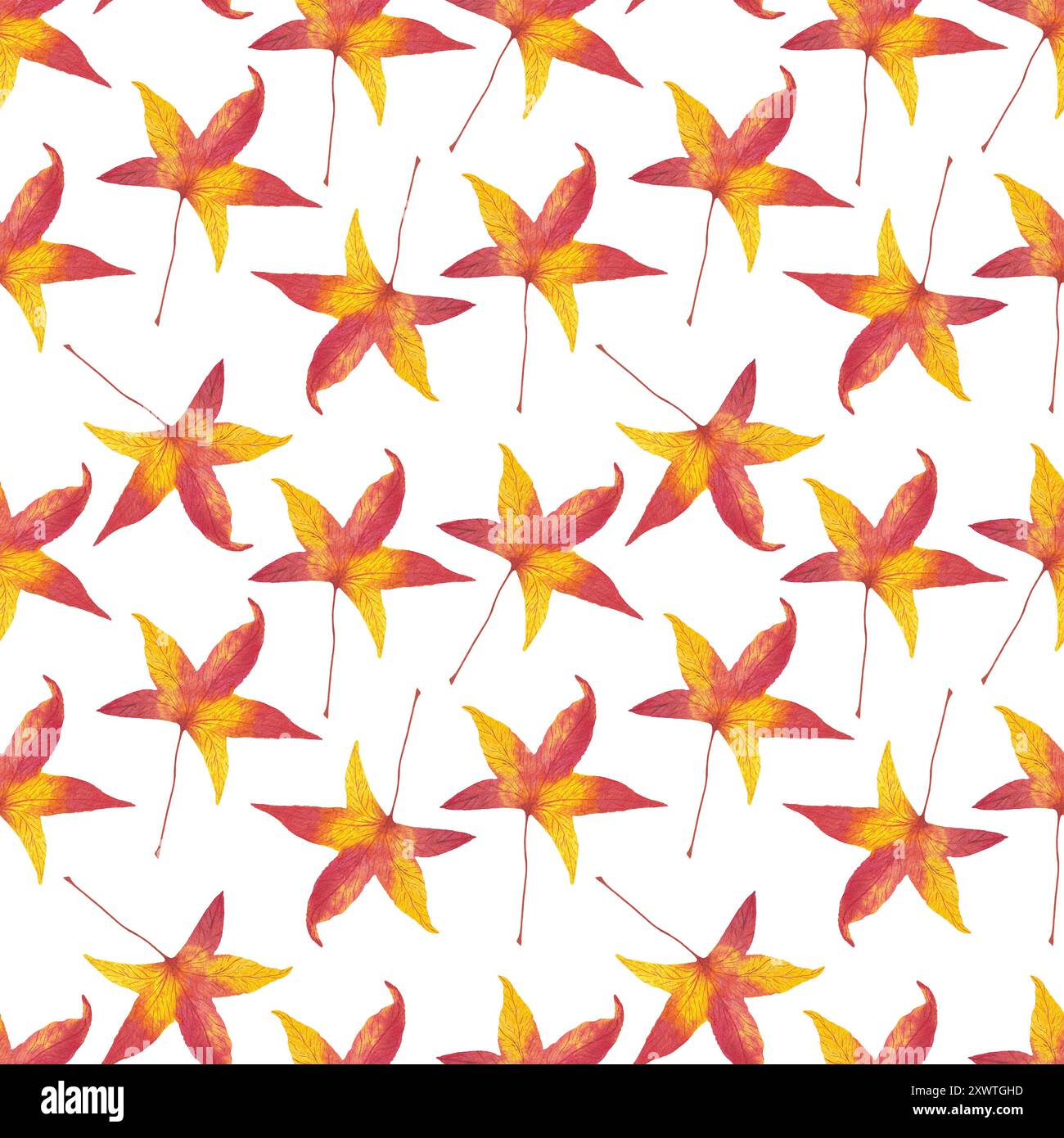 L'arbre rouge d'automne laisse sans couture illustration d'aquarelle de motif, ornement de répétition saisonnier simple pour textile, tissu, papier cadeau, Thanksgivin saisonnier Banque D'Images L'arbre rouge d'automne laisse sans couture illustration d'aquarelle de motif, ornement de répétition saisonnier simple pour textile, tissu, papier cadeau, Thanksgivin saisonnier Banque D'Images