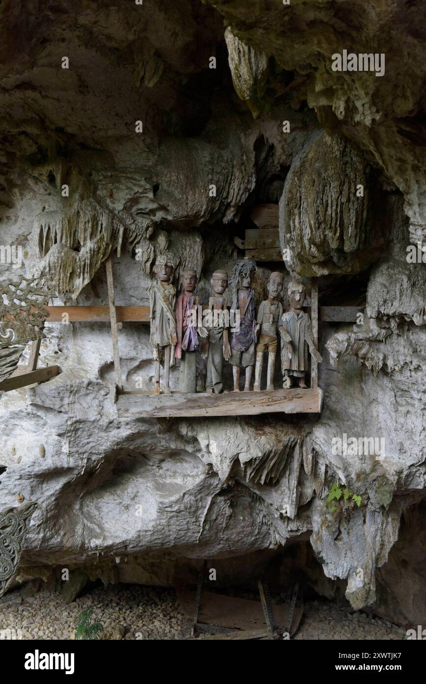 In dieser Höhle wurden schon viele Angehörige der Toraja beerdigt. An den Gräbern werden geschnitzte Holzfiguren aufgestellt, die den Verstorbenen symbolisieren. Religion Ihre ursprüngliche religion bezeichnet man heute als rituale der Ahnen aluk to dolo. SIE basiert auf den Gegensätzen Leben und Tod, Ost und West, Sonnenaufgang und - untergang. Viele Riten blieben erhalten, obwohl mit den Holländern auch Missionare kamen. Diese untersagten zum Beispiel sämtliche Bräuche zur Förderung der Fruchtbarkeit, befürworteten aber den Totenkult. DAS Bestatungsritual aluk rambe matampu gewann dadurch Banque D'Images