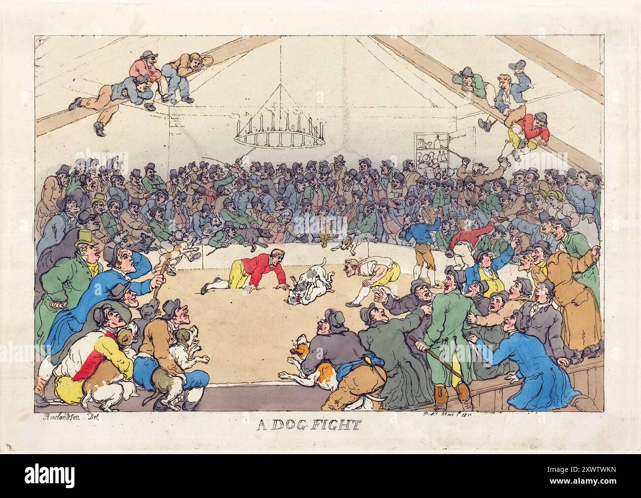 Un dessin animé humoristique gravure colorée d'un combat de chien, aquarelle gravure sur papier caricatures humaines de l'ère géorgienne humour satirique créé par Thomas Rowlandson antique vintage art imprimé satirique Banque D'Images