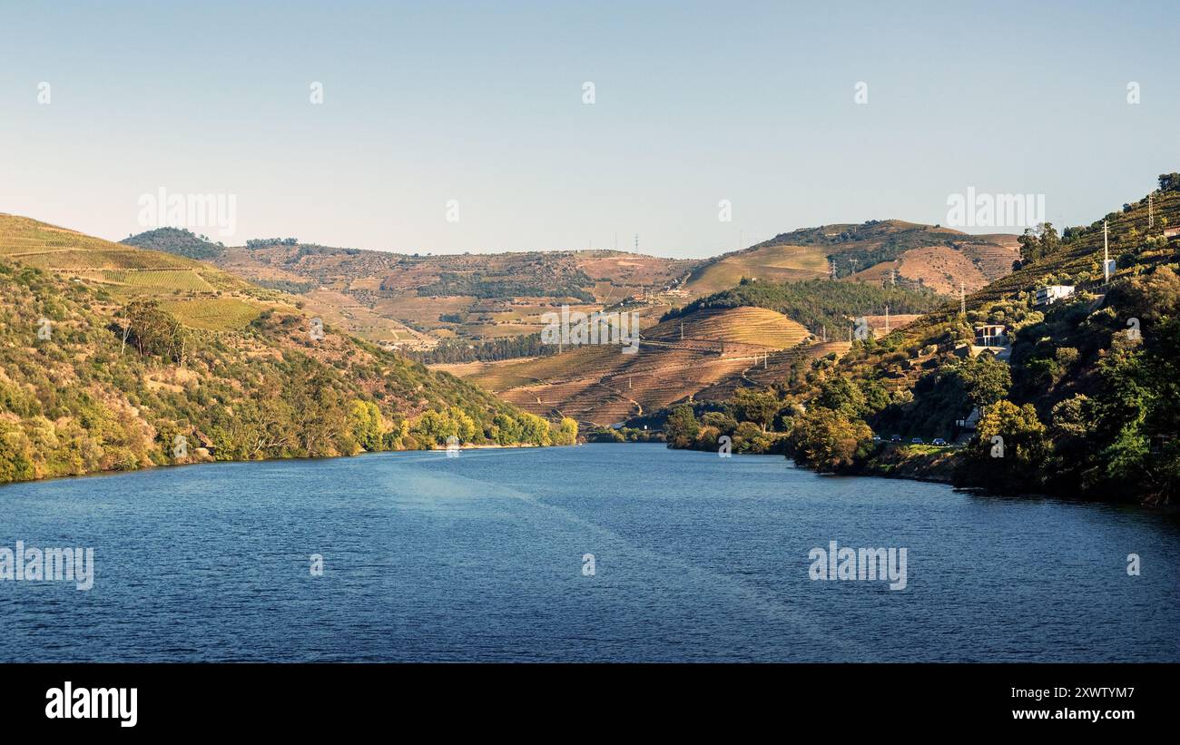 Paysage du fleuve Douro en amont du barrage de Régua au Portugal, avec la rivière au premier plan et les collines avec des vignes en arrière-plan Banque D'Images