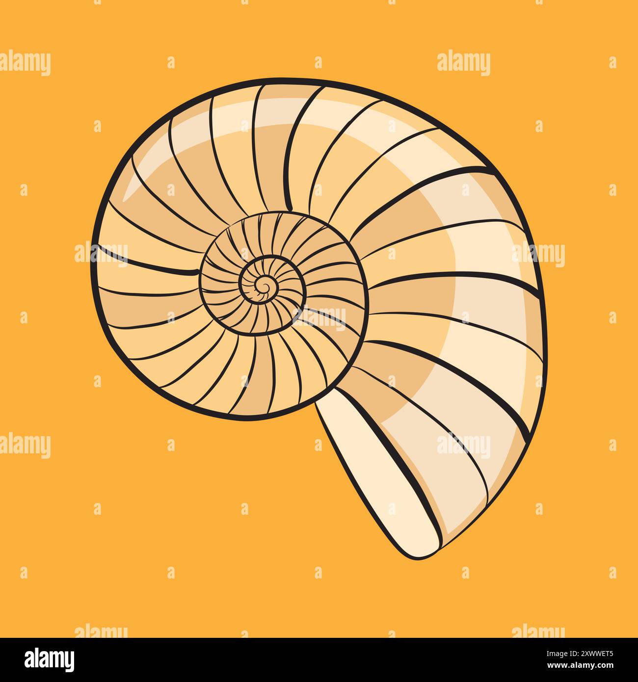 Illustration de Nautilus Shell dessinée à la main Illustration de Vecteur