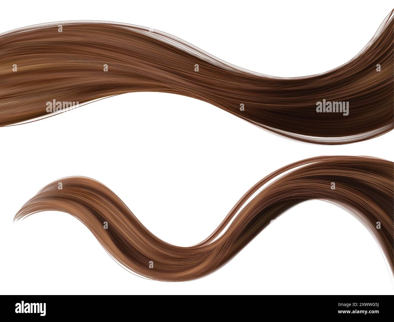 Longue mèche de cheveux bruns. Ensemble réaliste d'illustration vectorielle 3d de queue de cheval féminine brillante ondulée pour la conception de shampooing et de conditionneur. Boucles brune fortes et saines pour le concept de soin et de beauté. Illustration de Vecteur