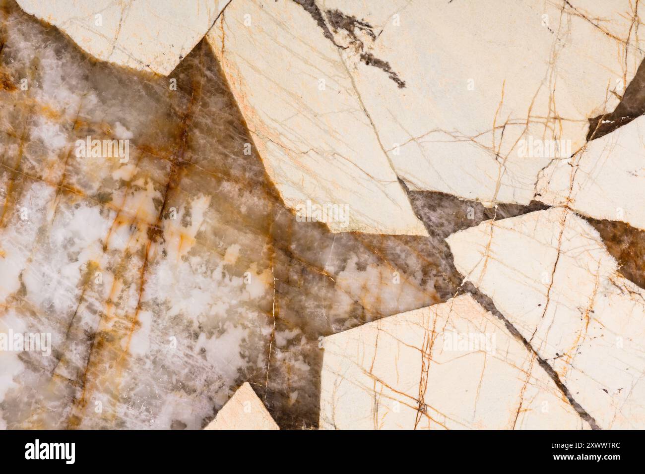 Pierre de quartzite naturelle avec un motif frappant de teintes blanches et brunes. Idéal pour les surfaces haut de gamme. Banque D'Images