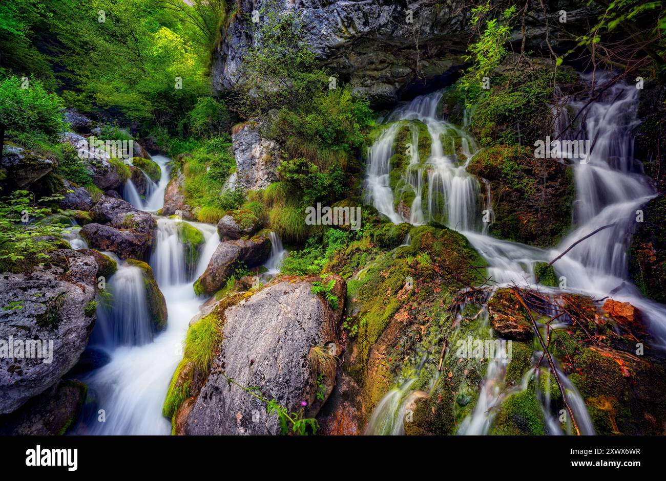 Une petite cascade à Stenico, parc naturel Adamello Brenta. Stenico est une ville du Trentin Haut-Adige, une région du nord de l'Italie, près de trente. Banque D'Images