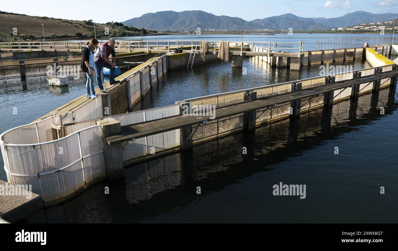 Italie, Sardaigne, Villaputzu : barrière à poissons sur la lagune de sa Praia sur l'île d'Ogliastra pour attraper des civelles et des anguilles européennes Banque D'Images