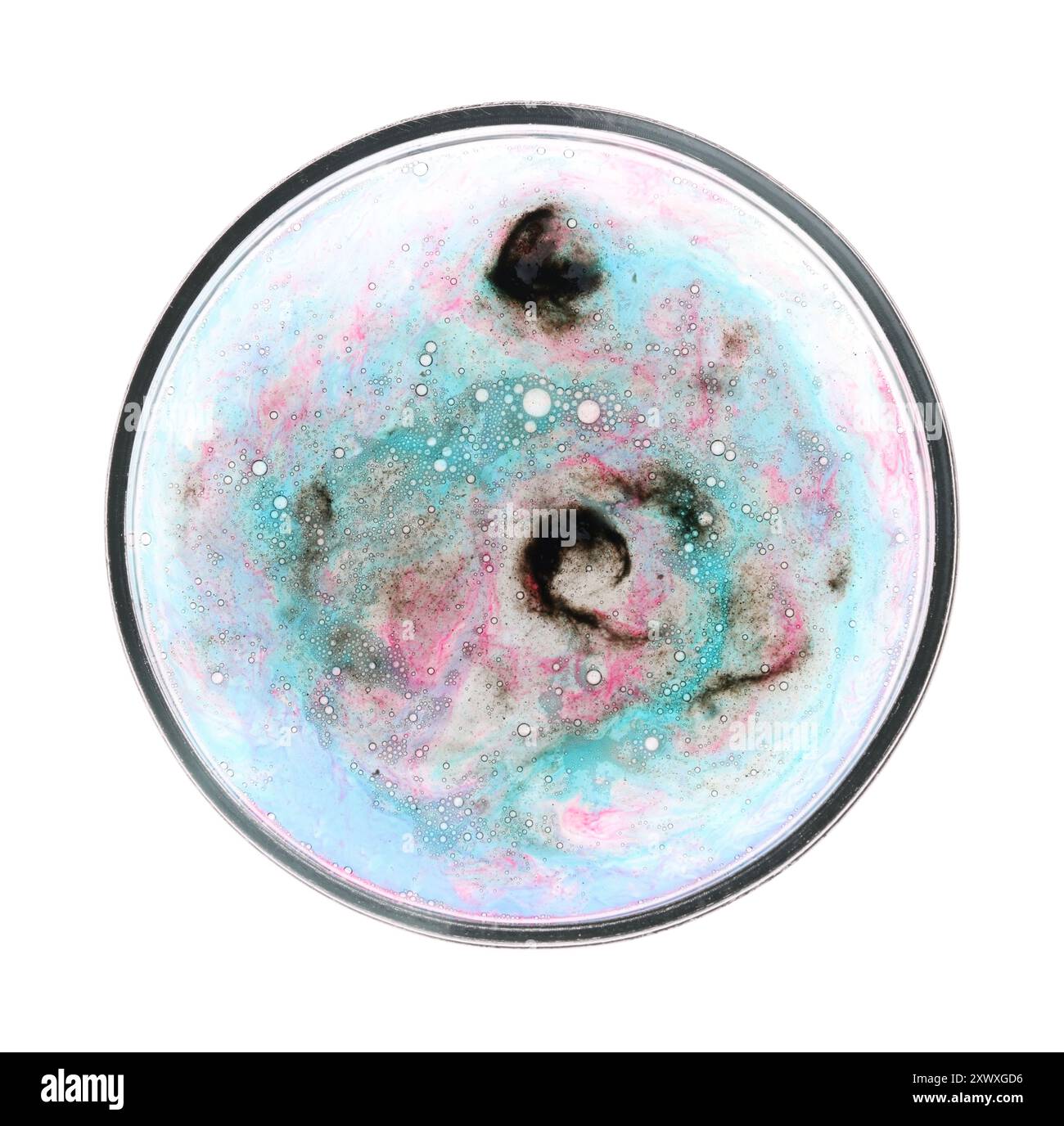 Boîte de Pétri avec bactéries isolées sur blanc, vue de dessus Banque D'Images