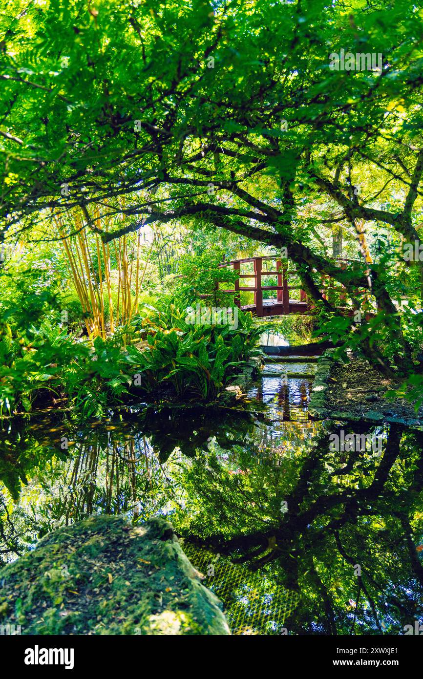 Jardin japonais au Miami Beach Botanical Garden, Miami, Floride, États-Unis Banque D'Images