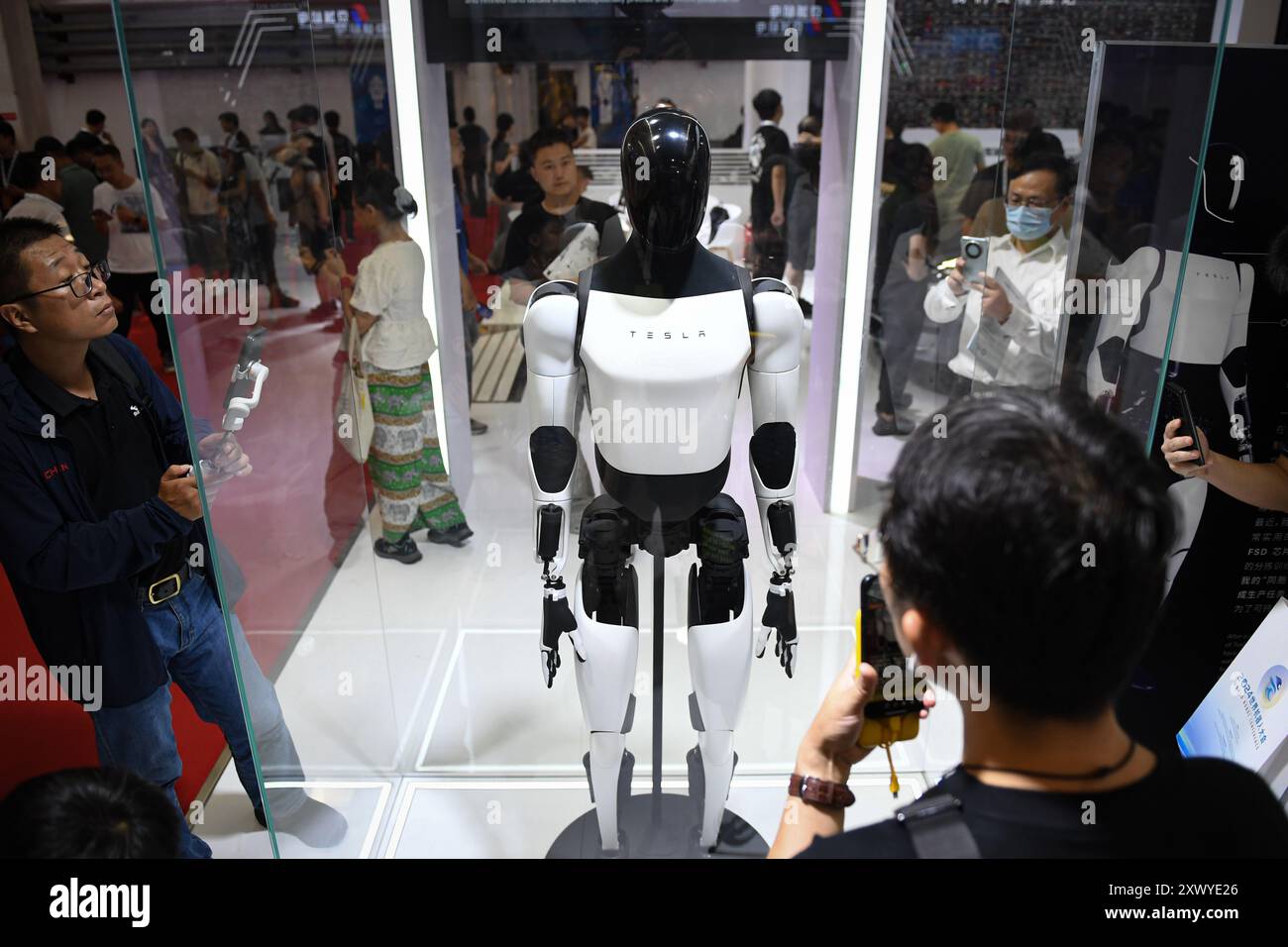 Pékin, Chine. 21 août 2024. Un robot est photographié sur le stand de Tesla lors de la World robot Conference 2024 à Pékin, capitale de la Chine, le 21 août 2024. La World robot Conference 2024 s’est ouverte ici mercredi. Crédit : Chen Zhonghao/Xinhua/Alamy Live News Banque D'Images