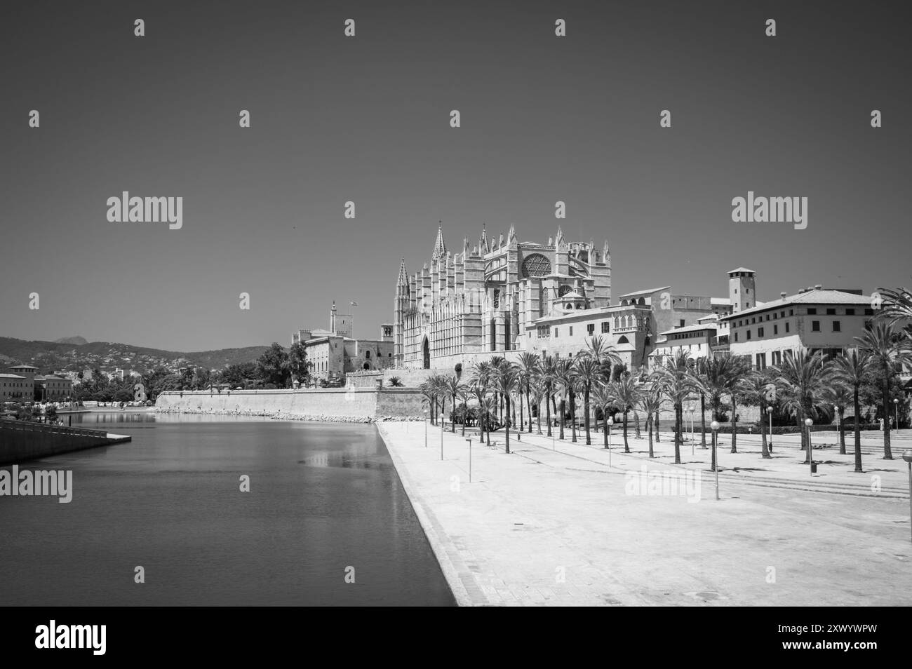 La célèbre cathédrale de Palma sur Majorque Banque D'Images
