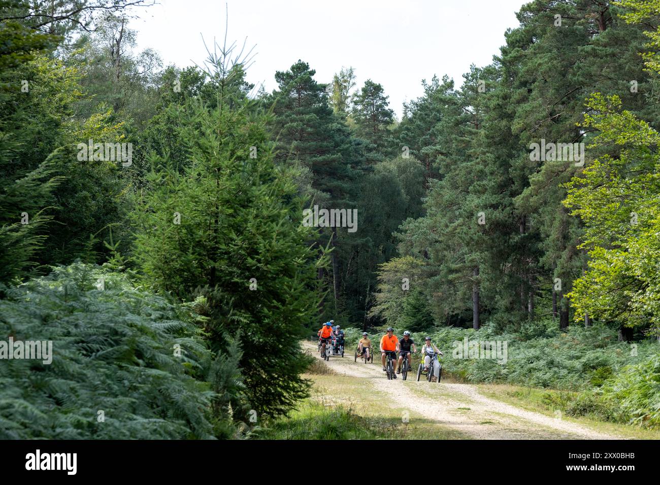 New Forest, Hampshire, Royaume-Uni. Un groupe de personnes, d'âges mixtes, se promène à vélo pour s'amuser sur une piste cyclable dans le parc national de New Forest Banque D'Images