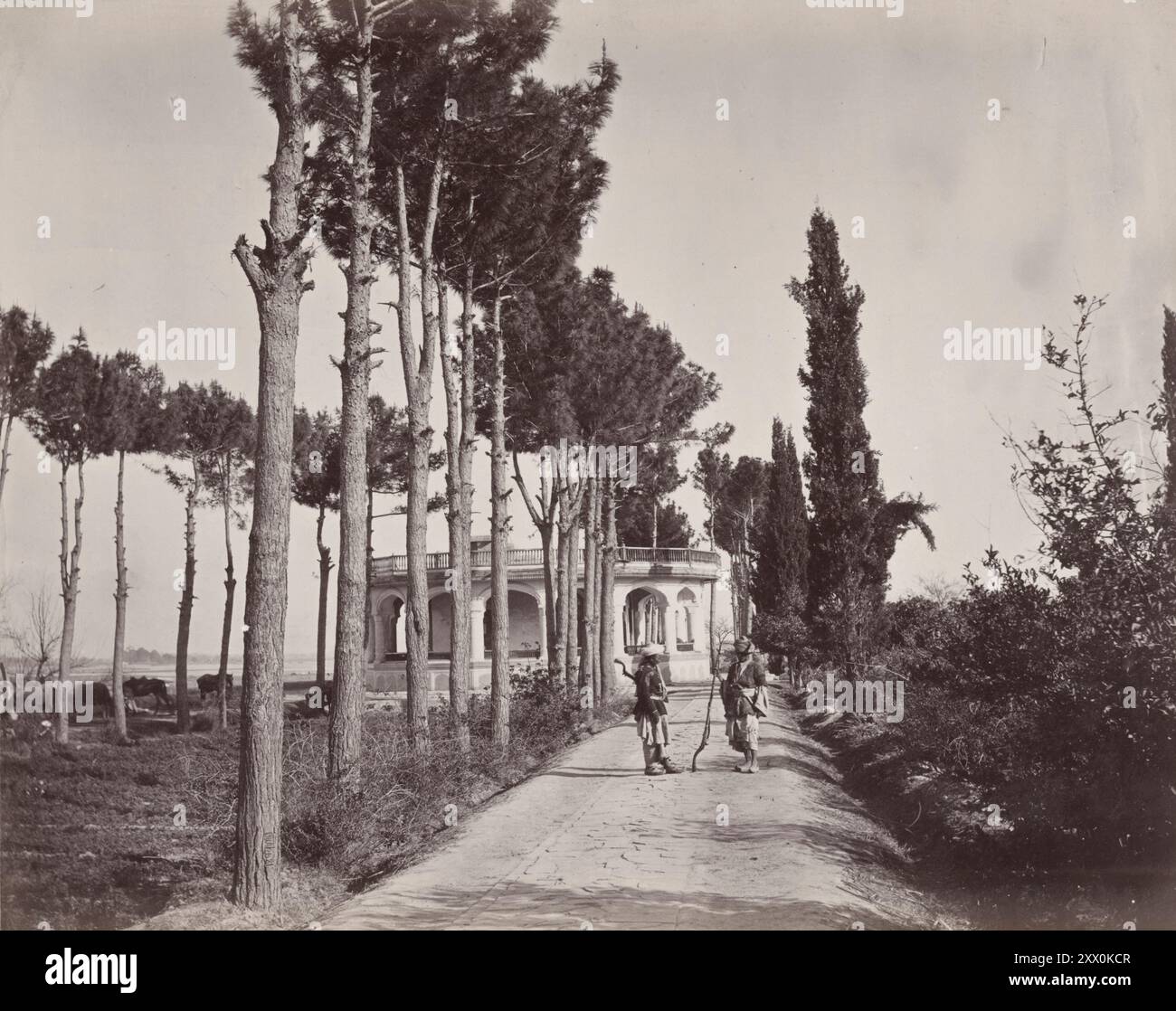 Photo vintage du jardin de l'Amir, Jalalabad. Afghanistan. 1878-1880 Banque D'Images