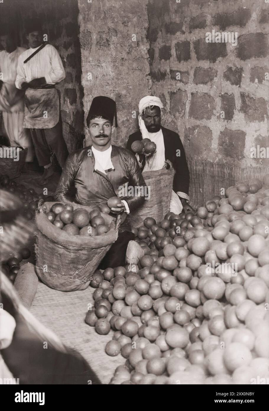 La vie en Palestine au début du XXe siècle. Culture orange Jaffa. Triage des oranges. Palestine historique. Empire ottoman. 1900-1920 Banque D'Images