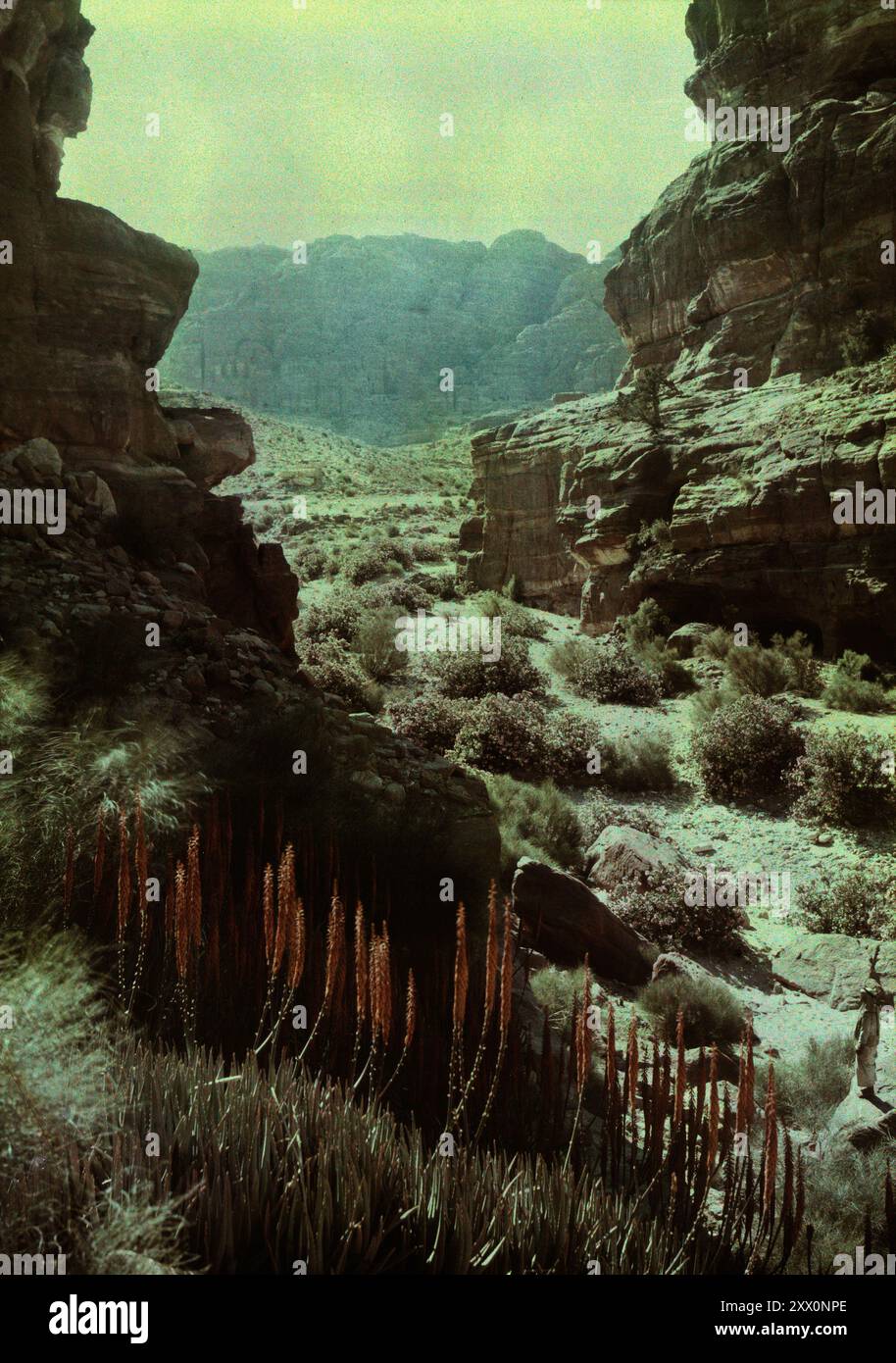 Photo vintage de Transjordanie (Petra). Petra, connue à l'origine par ses habitants sous le nom de Raqmu, est une ville historique et archéologique du sud de la Jordanie. Célèbre pour son architecture taillée dans la roche et son système de conduites d'eau, Petra est également appelée la « ville Rose » en raison de la couleur du grès dans lequel elle est sculptée. La ville est l'une des 7 nouvelles merveilles du monde et un site du patrimoine mondial de l'UNESCO Banque D'Images