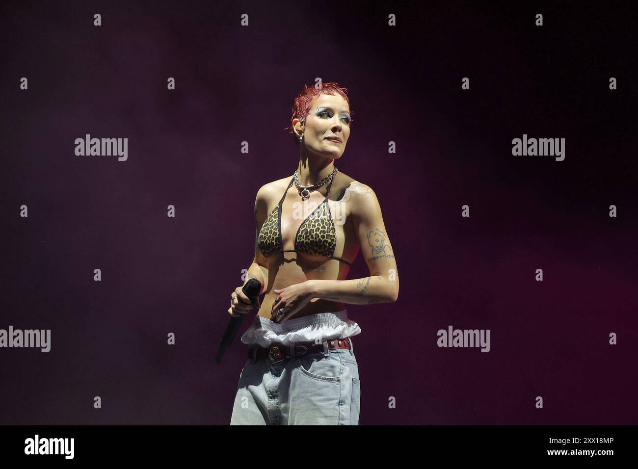 Halsey se produit au Festival Sziget (Budapest, Hongrie) le 8 août 2024 Banque D'Images