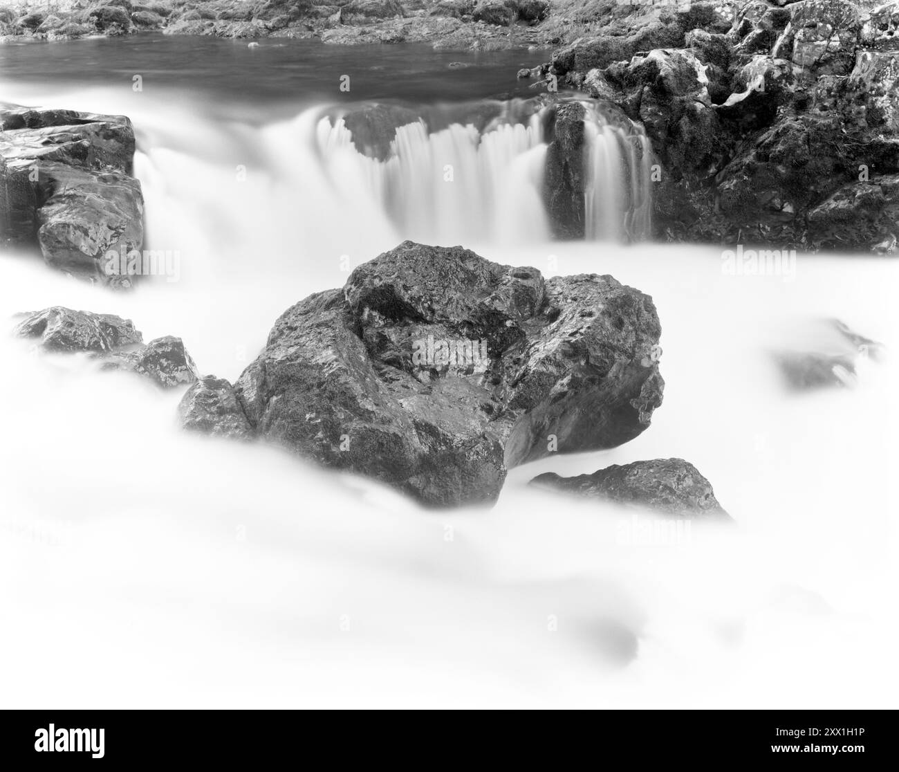 BW01962-00...... WASHINGTON - Lower Lewis River dans la forêt nationale Gifford Pinchot. Banque D'Images