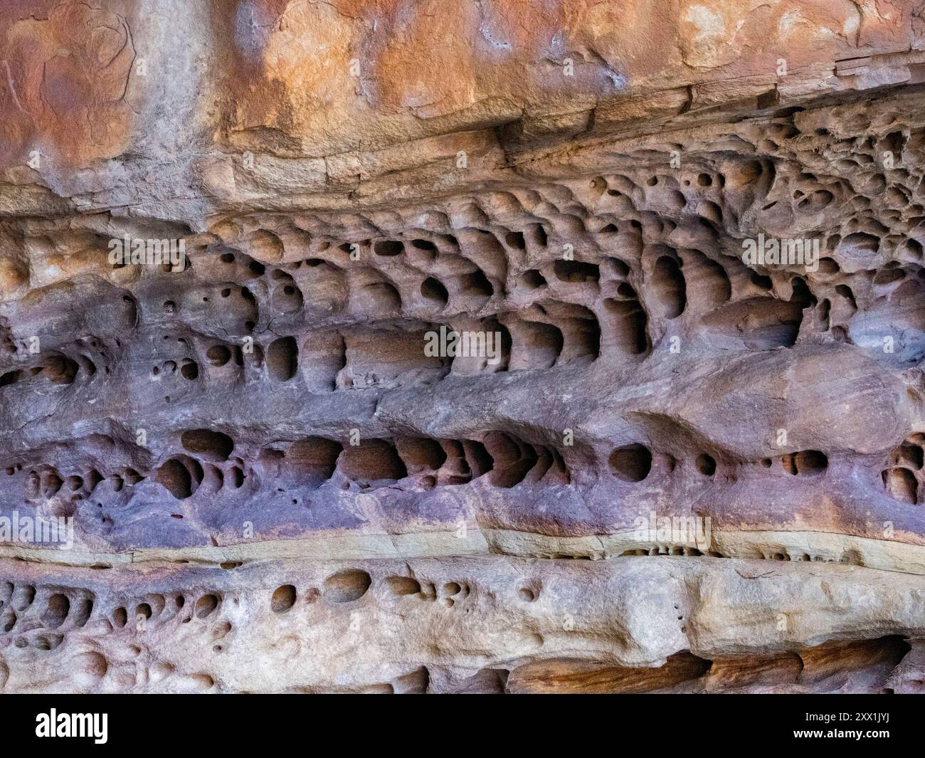 Exemples de Tafoni créés dans la couche de grès de Warton, King George River, Kimberley, Australie occidentale, Australie, Pacifique Banque D'Images