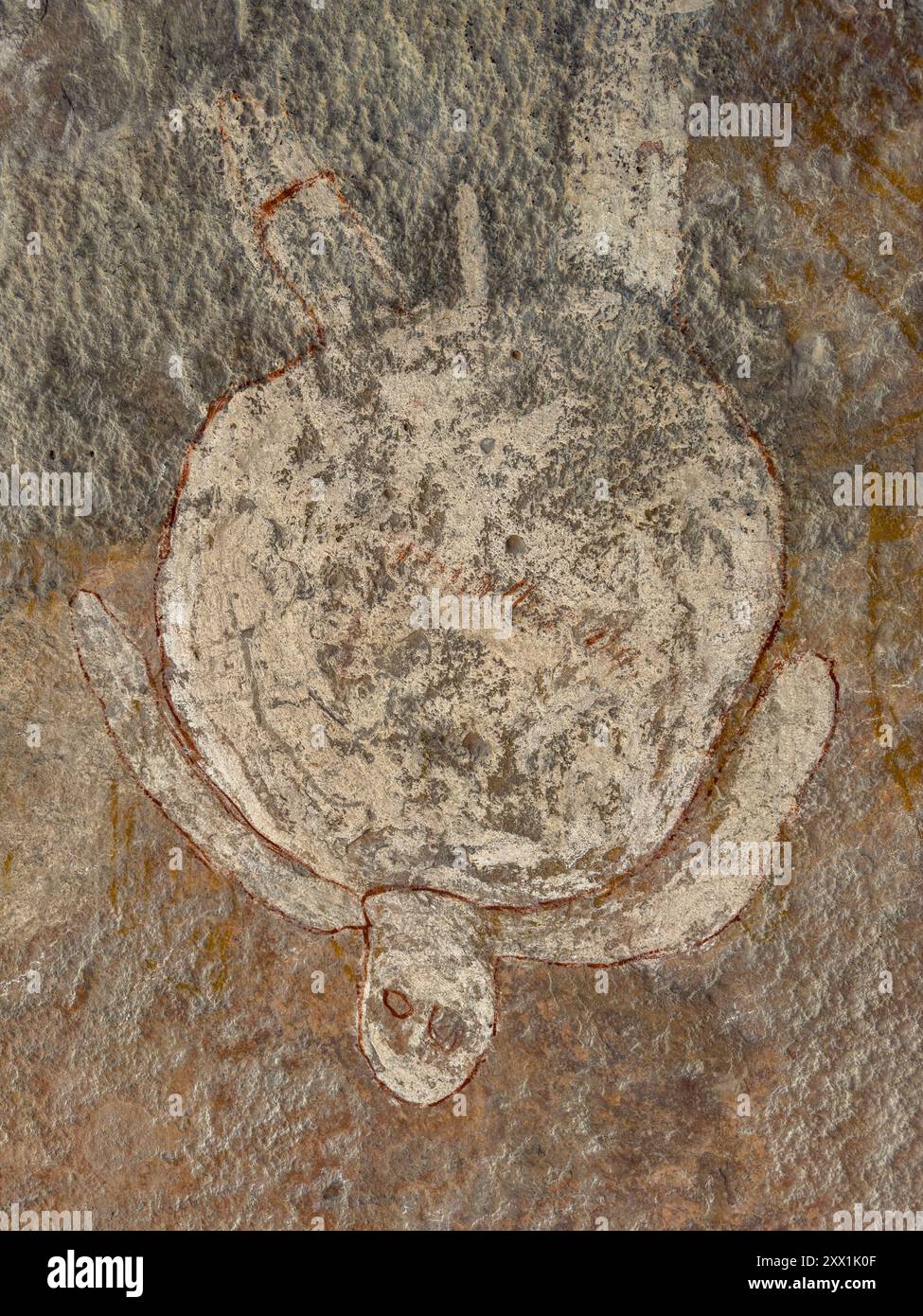 Forme d'art Wandjina de divers animaux sur le grès du Roi Léopold, Swift Bay, Kimberley, Australie occidentale, Australie, Pacifique Banque D'Images