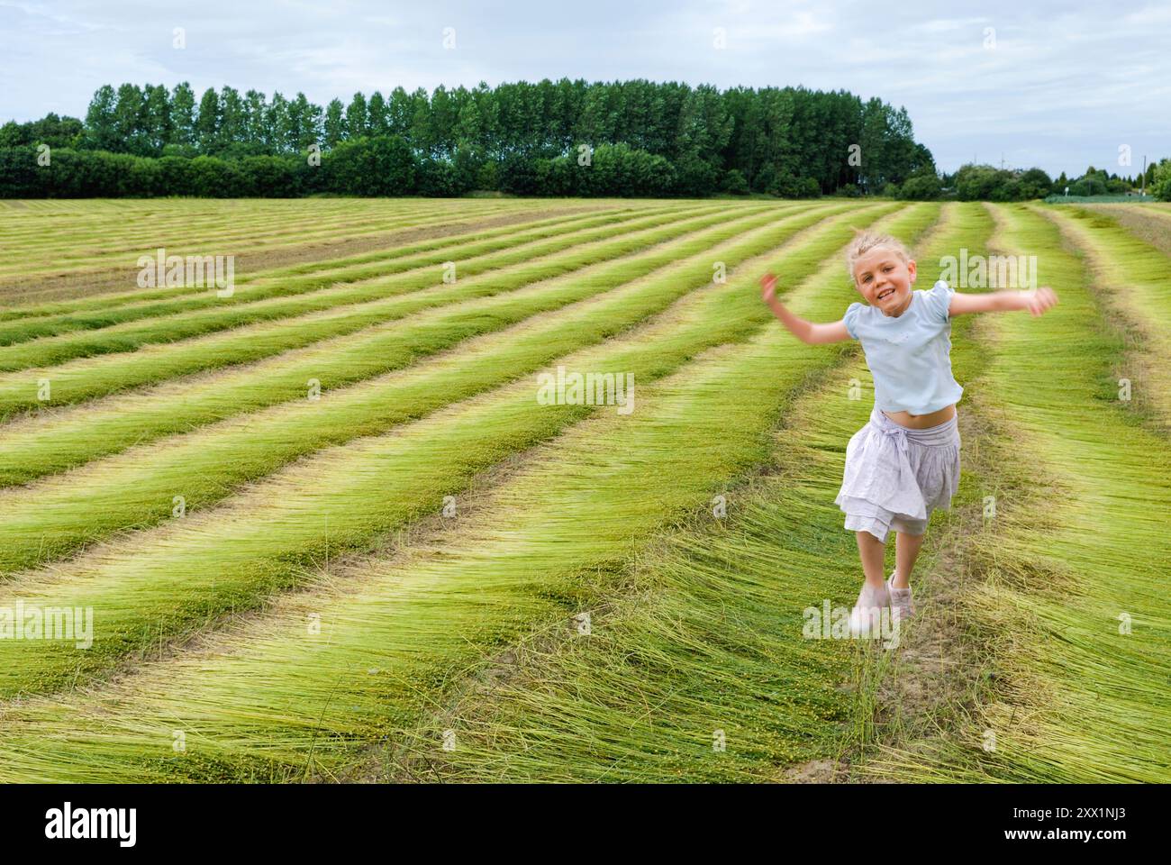 Petite fille dans un champ de lin coupé autour d'Etretat, Côte d'Albatre, pays de Caux, département de Seine-maritime, région haute-Normandie, France, Europe Banque D'Images