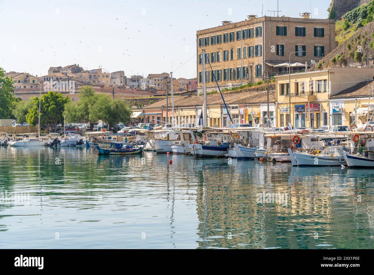 Vue des bateaux le Vieux Port Marina, Corfou, mer Ionienne, îles grecques, Grèce, Europe Banque D'Images