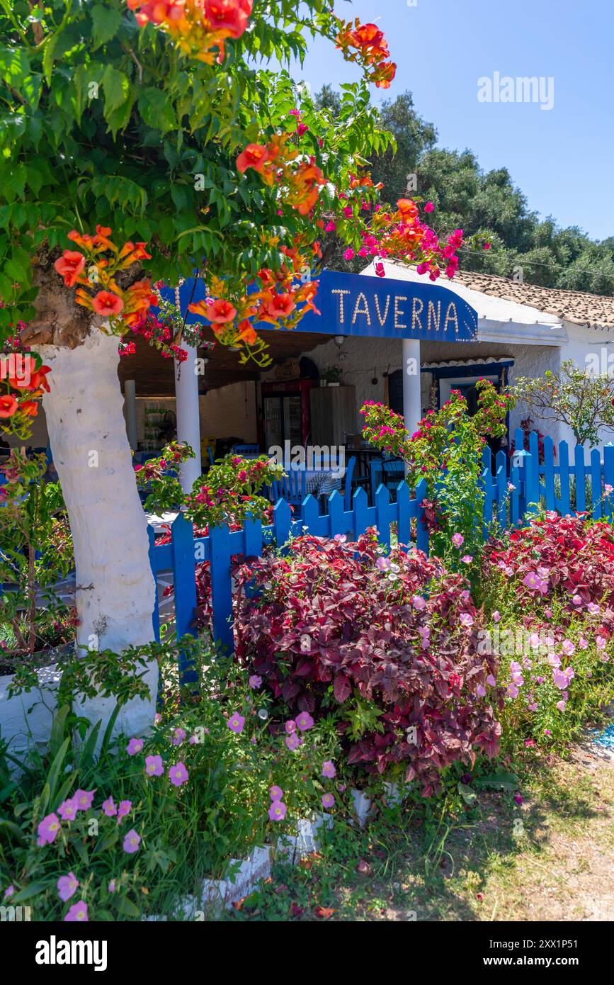 Vue de la taverne près de Paralia Kalamaki, Paralia Kalamaki, Corfou, mer Ionienne, îles grecques, Grèce, Europe Banque D'Images