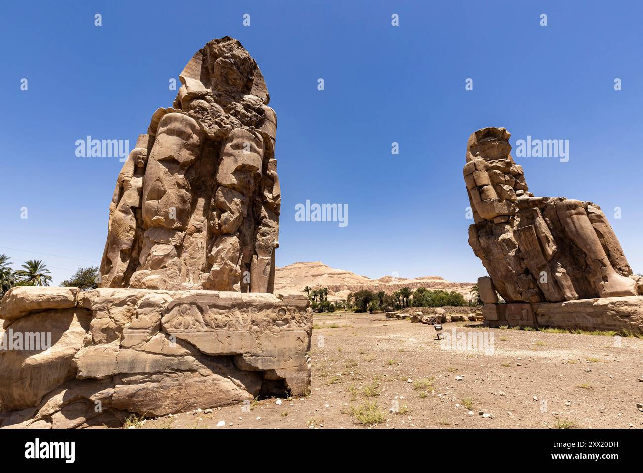 Colosses de Memnon, statues massives en pierre d'Amenhotep III, Louxor, Egypte, Afrique du Nord, Afrique Banque D'Images