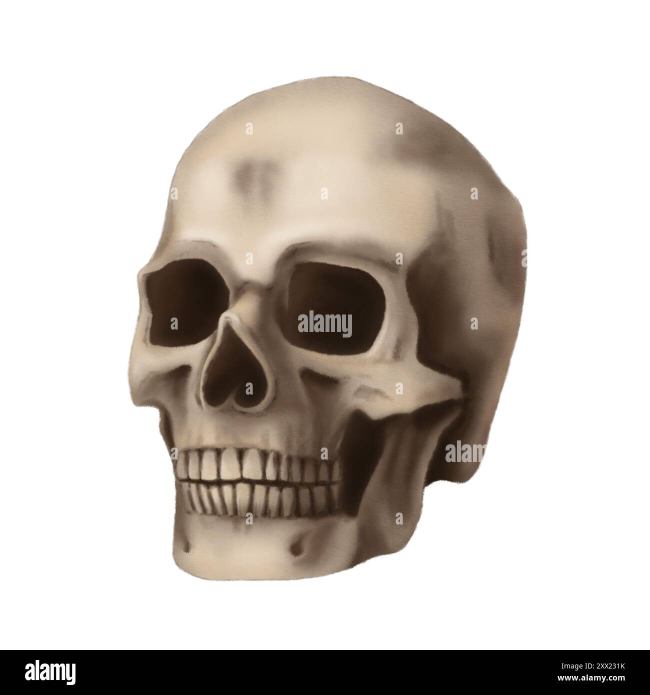 Squelette réaliste de crâne humain dans le style de bande dessinée. Décor sombre d'Halloween dessiné à la main de l'illustration effrayante d'os de tête morte. Dessin isolé pour l'automne Banque D'Images