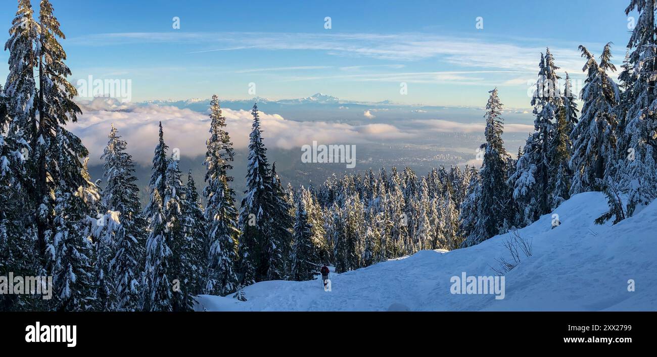 Vue arrière d'un homme âgé faisant de la raquette dans un paysage montagneux entre Mt Dam et Mt Grouse, North Vancouver, Colombie-Britannique, Canada Banque D'Images