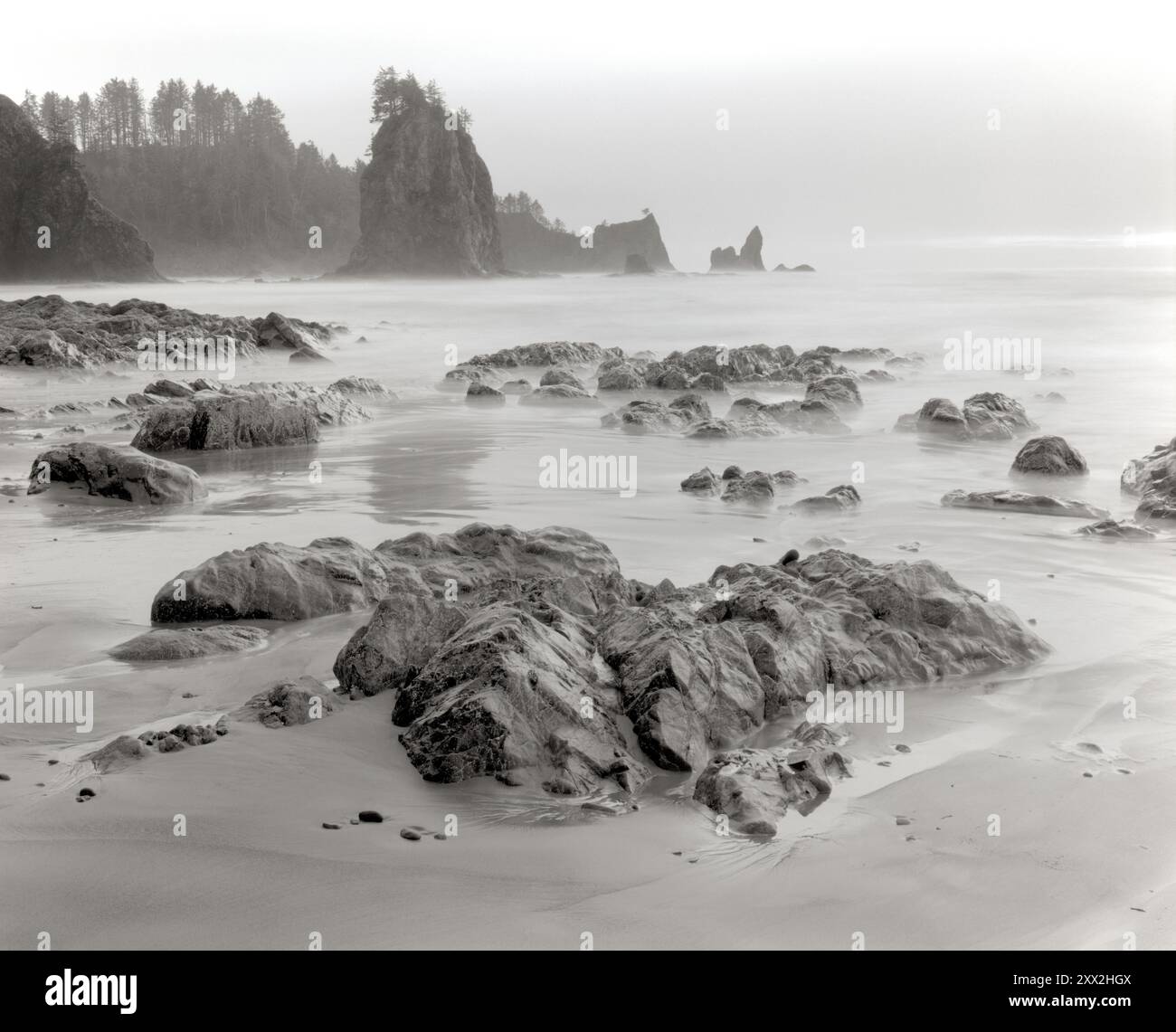 BW01966-00....WASHINGTON - Mosquito Creek Beach dans le parc national olympique. Banque D'Images