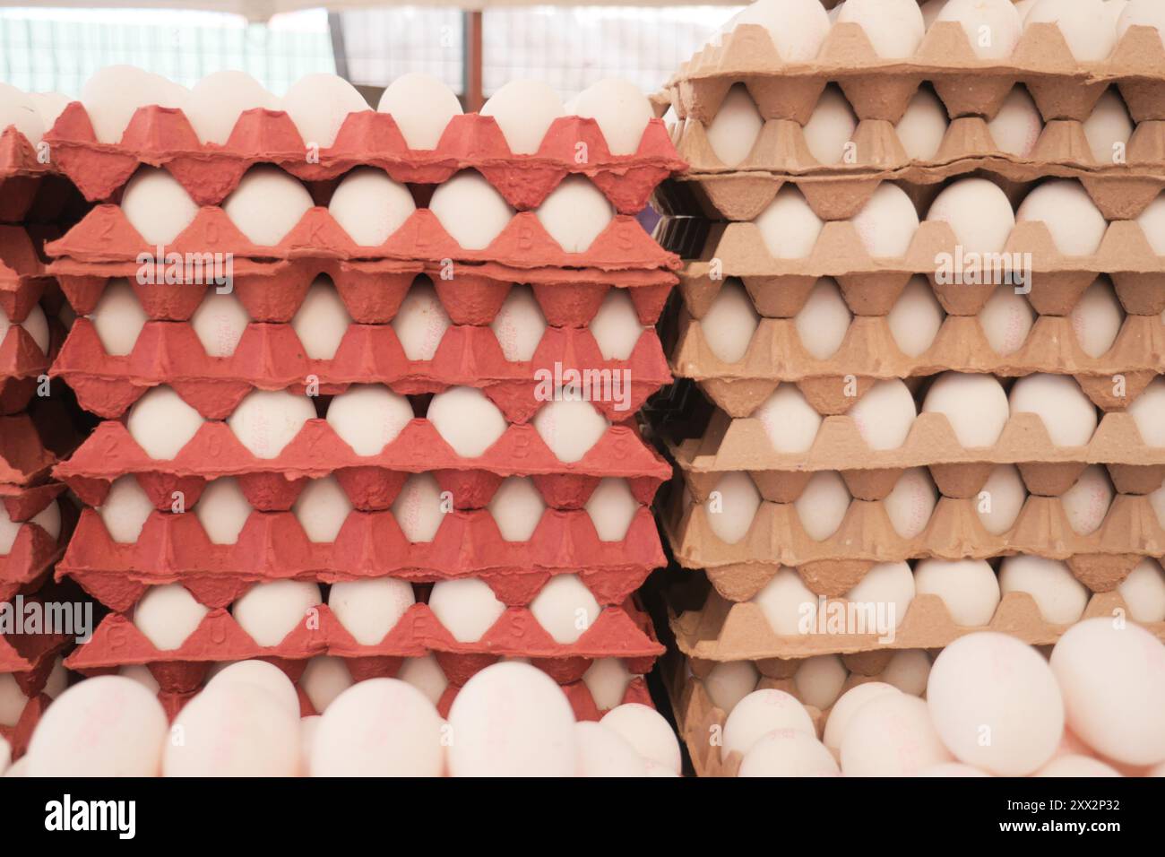 oeufs dans le supermarché beaucoup de plateaux en carton d'oeufs Banque D'Images