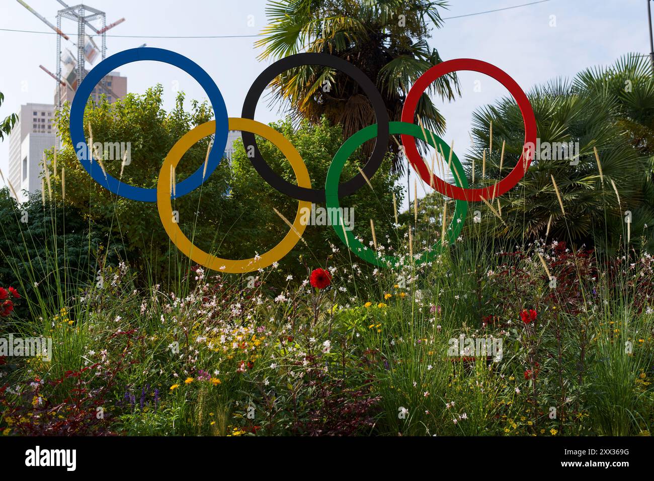 Paris, France 08.20.2024 les anneaux olympiques accrochés entre des fleurs sauvages sur la place d'italie dans le 13ème arrondissement de Paris Banque D'Images