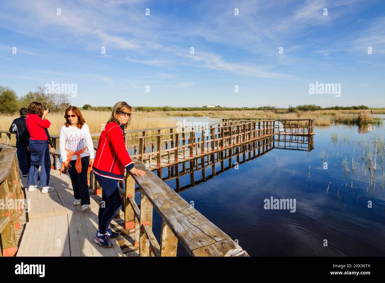 Parc national des Tablas de Daimiel, Ciudad Real, Castille-la Manche, Espagne, Europe Banque D'Images