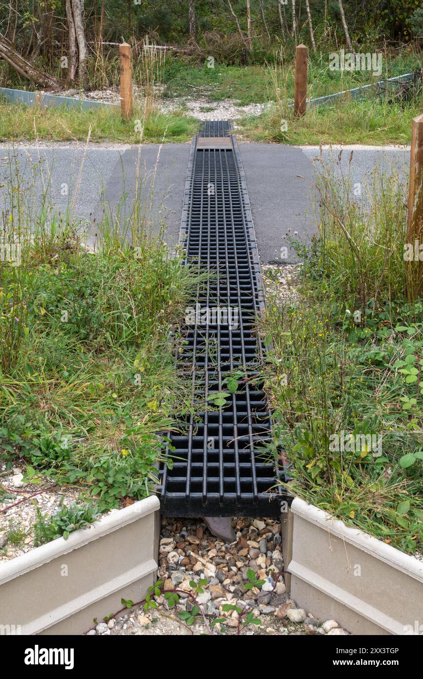 Tunnel d'additionneur construit en 2024 sous la route permettant aux additionneurs de traverser en toute sécurité, Greenham et Crookham Commons, Berkshire, Angleterre, Royaume-Uni. Couloir faunique Banque D'Images