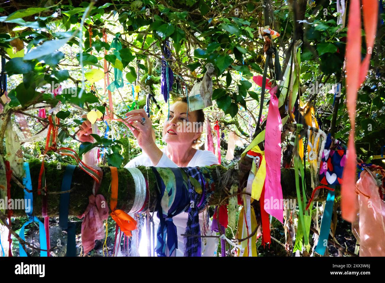 Attrayants nuages suspendus féminins ou offrandes votives sur l'arbre à souhait au puits sacré Madron - John Gollop Banque D'Images