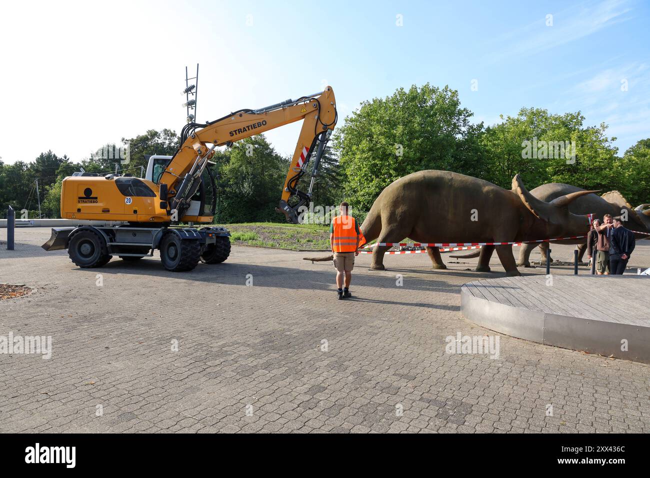 Wenn schwere Dinos fliegen - Modelle vor dem LWL-Museum für Naturkunde versetzt. Wahrzeichen des musées kennzeichnen neuen Museumseingang. DAS LWL-Museum für Naturkunde bekommt einen Anbau auf dem Museumsvorplatz. für die Zeit der Bauarbeiten markieren die Dinos den neuen, vorübergehenden Eingang in das Museum. Münster, Nordrhein-Westfalen, DEU, Deutschland, 22.08.2024 *** lorsque des modèles de dinosaures lourds volent devant le Musée d'histoire naturelle de LWL les monuments du musée marquent la nouvelle entrée du musée le Musée d'histoire naturelle de LWL obtient une extension sur le parvis du musée Banque D'Images