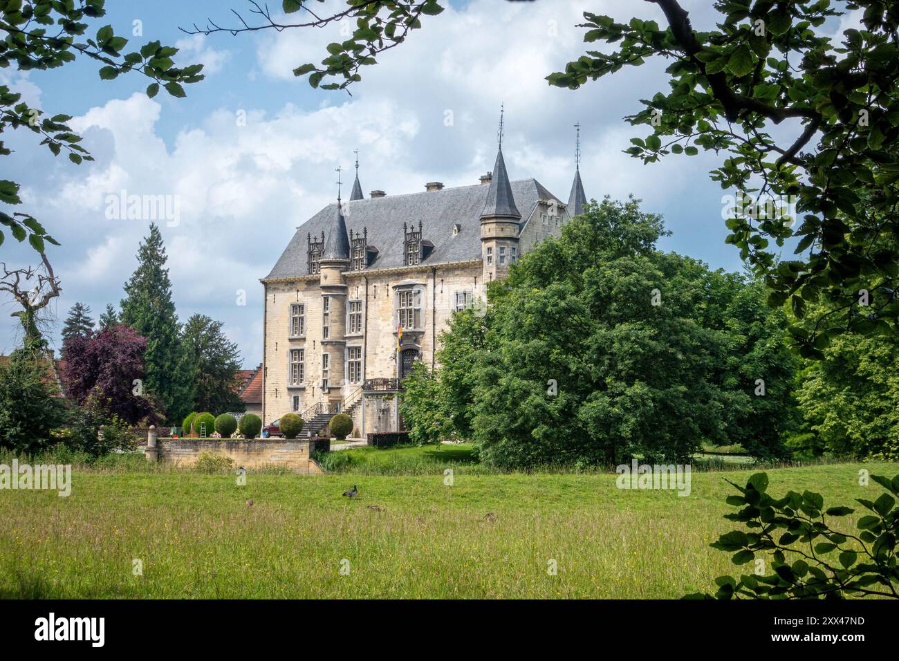 Le château de Schaloen est un château situé à Oud-Valkenburg dans la municipalité de Valkenburg, dans le sud du Limbourg, situé dans le pré de la rivière Geul aan de Geul Banque D'Images