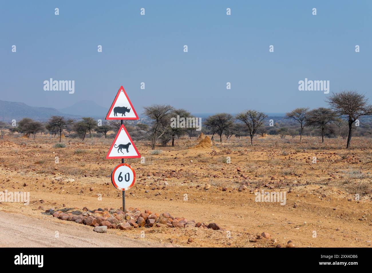 Traversée de rhinocéros et de léopards, panneaux de signalisation de la faune et paysage de savane en Namibie, Afrique Banque D'Images