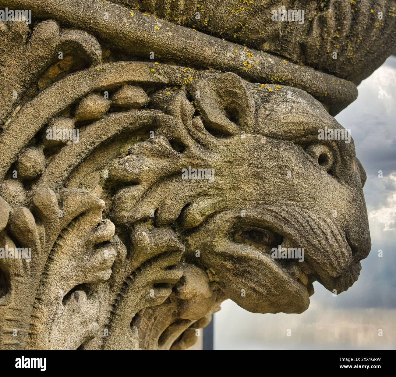 Détail Cat sur le bâtiment du YMCA à Newark Ohio USA 2024 Banque D'Images